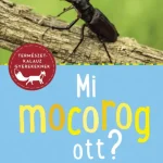 Mi mocorog ott? Kiárusítás