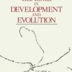 The Eukaryote Genome in Development and Evolution byBernard, John; Korlátozott ajánlat