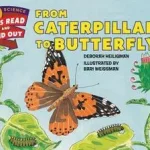 Végkiárusítás From Caterpillar to Butterfly byHeiligman, Deborah;