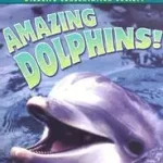 Vásárlói kedvenc Amazing Dolphins! byThomson, Sarah L.;