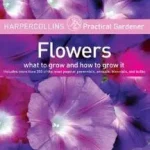 Biztonságos fizetés HarperCollins Practical Gardener byToogood, Alan;
