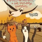 Rendeld meg most Kirmizi és Karmazi, a két kadiköyi kandúr