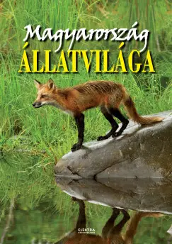 Exkluzív ajánlat Magyarország állatvilága