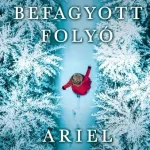 Azonnali szállítás A befagyott folyó