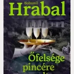 Expressz kézbesítés Őfelsége pincére voltam