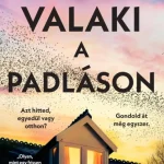 Ne maradj le Valaki a padláson