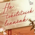 Ha tökéletesek lennénk Biztonságos fizetés