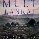 A múlt lankái Kiárusítás