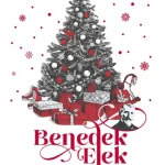 Bestseller Benedek Elek karácsonya - Éldekorált kiadás