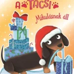 Prémium Csipesz, a tacsi - Mikulásnak áll