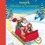 3-5-8 perces mesék - Mikulásra és karácsonyra Gyors kiszállítás