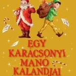 Egy karácsonyi manó kalandjai Kihagyhatatlan ajánlat