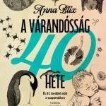 Különleges ajánlat A várandósság 40 hete