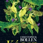Bestseller Káosz