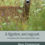 Expressz kézbesítés A figyelem, ami vagyunk