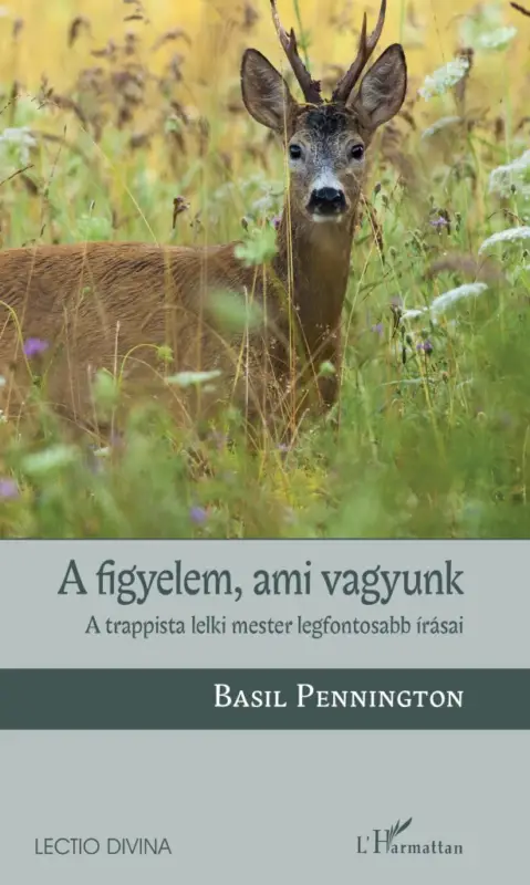 Expressz kézbesítés A figyelem, ami vagyunk