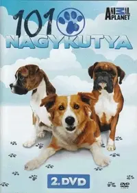 101 Nagykutya DVD 2. (DVD) Korlátozott ajánlat