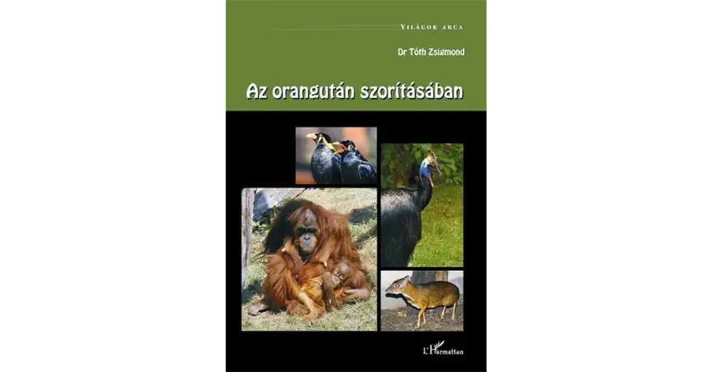 Ajánlat Az orangután szorításában